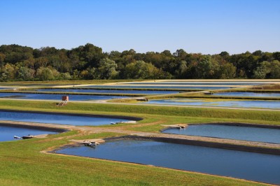 shutterstock_38490268-e1355366133768